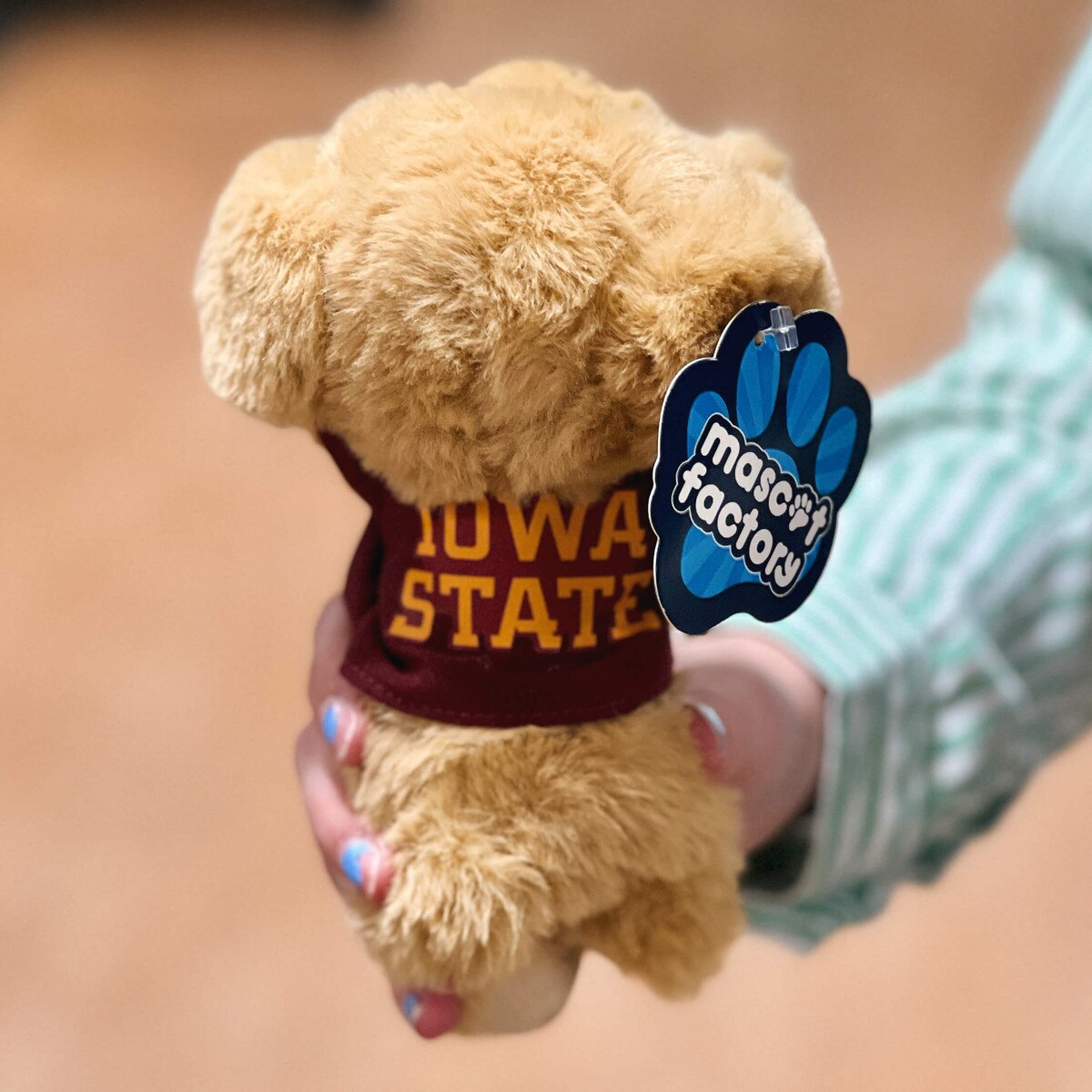 Iowa State Golden Retriever Plush Puppy (7")